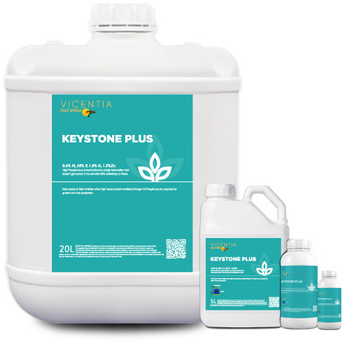 KEYSTONE PLUS